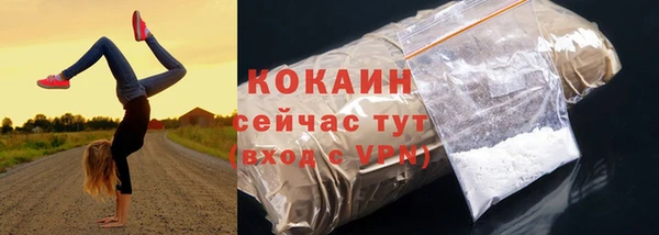 эйфоретик Аркадак