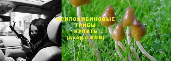 прущая мука Армянск