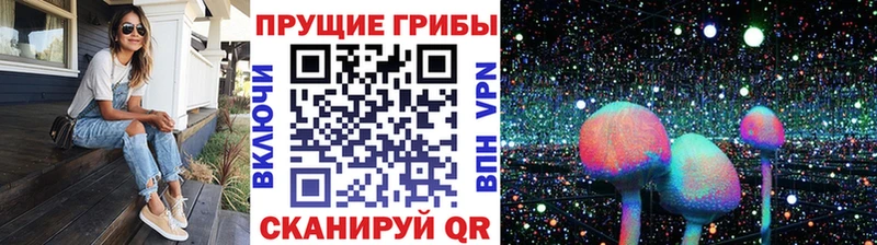гидра ссылка  как найти закладки  Волгоград  Псилоцибиновые грибы GOLDEN TEACHER 
